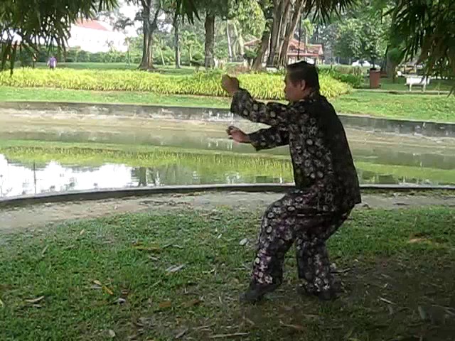 Shaolin 72 Chin-Na Techniques 2015